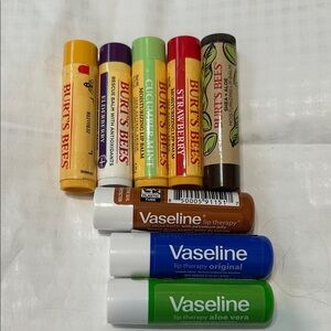 Burt's Bees Lip Balm & Vaseline